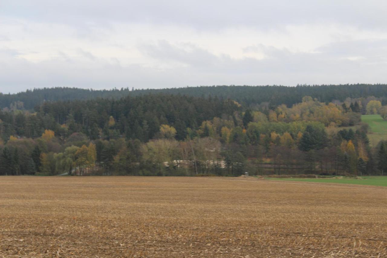 Zumseehoernchen Haus Schmetterling Tanna Exterior foto
